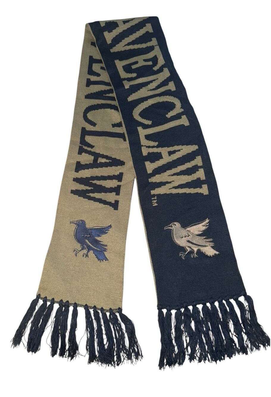 Harry Potter Embroidered Universal Wizarding World Ravenclaw Reversible Scarf